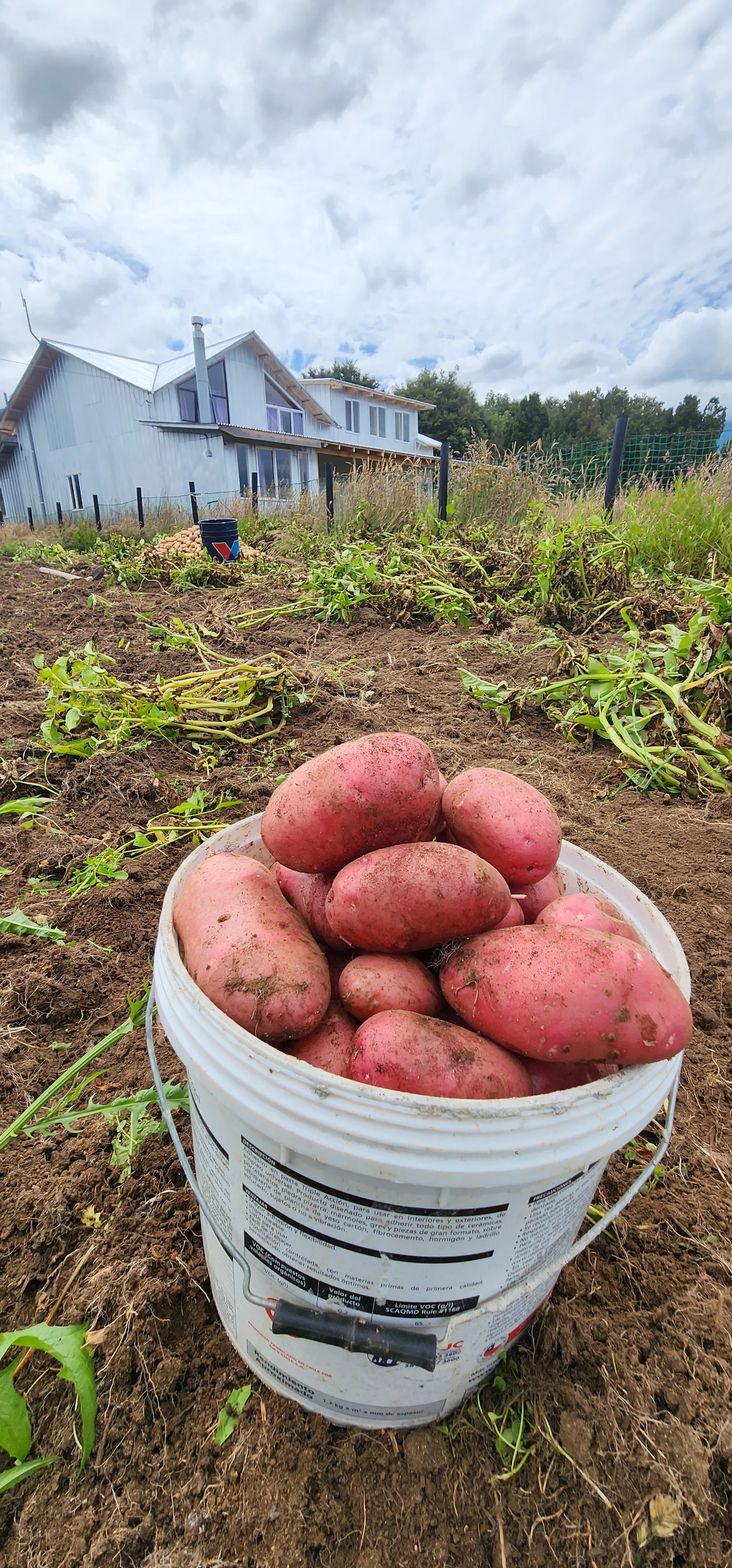 Pan recién horneado